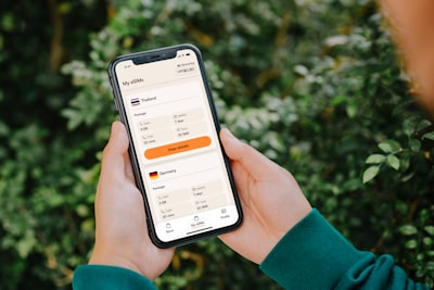 1. データローミングが「オン」になっているか